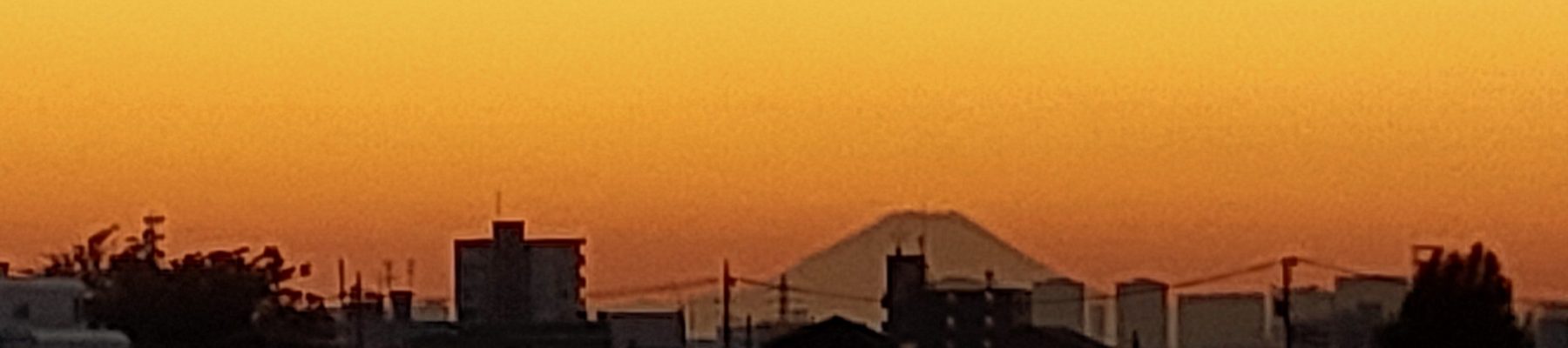 第二の人生　〜挑戦中〜